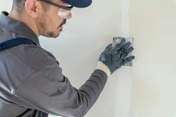 Best Ceiling Painting Services  in Carthage, NC